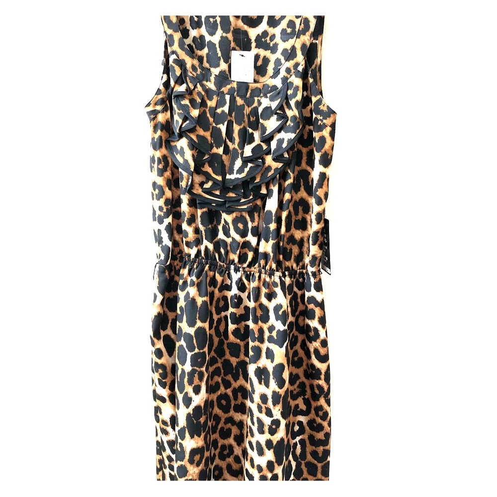 Ruffle Front Dress